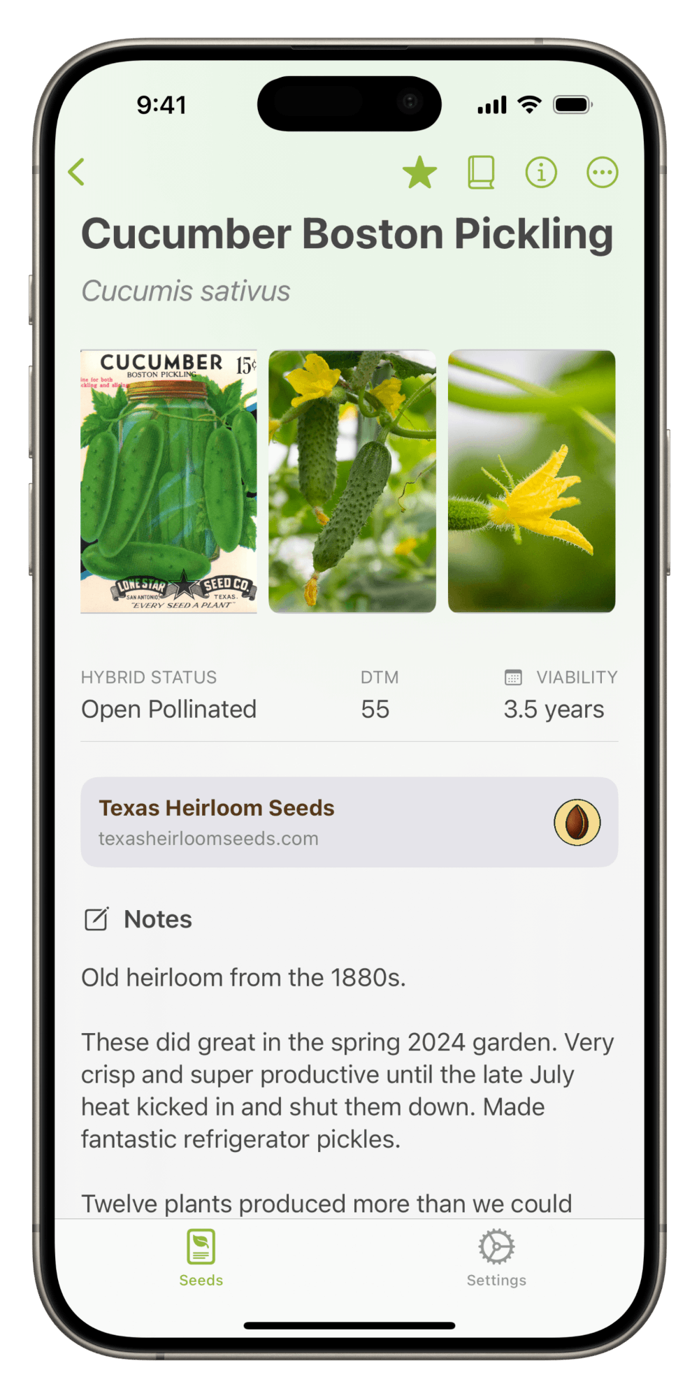 Boston Cucumber details and photos in Seed Keep App