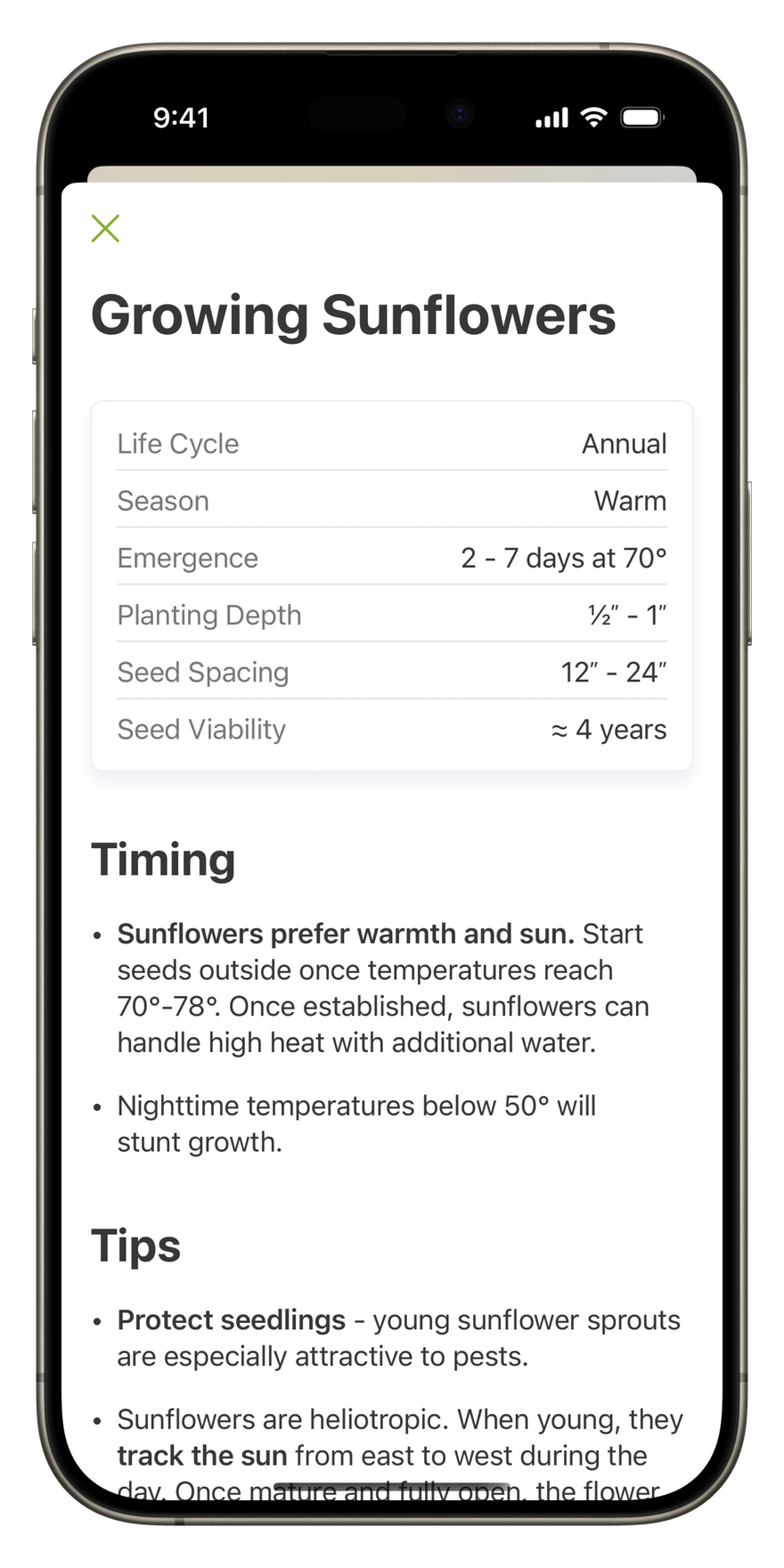Growing Sunflowers information screen in Seed Keep App